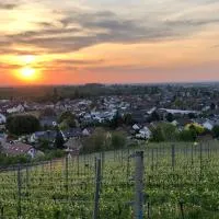 Linde Oberachern, hotel en Achern