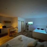 Studio Balnéothérapie, hotel en Wintzenheim