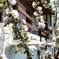 Maro's Guesthouse, готель у місті Айос-Лаврендіос