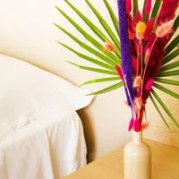 Hotel Blumen โรงแรมในซัน เบเนเดตโต เดล ตรอนโต