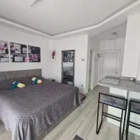 Ema Apartman、ビイェリナのホテル