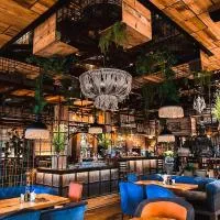 Hotel Coandi, hotel i Arad