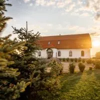 Conacul Nagy, hotell sihtkohas Coşeni