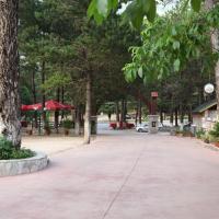 Hamiti Camping Center, hotell i Llogara