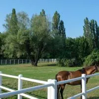 Equiliber Reitsportzentrum Burgenland, מלון בWulkaprodersdorf
