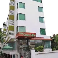 Hotel Green Olive, hotel in Aurangabad