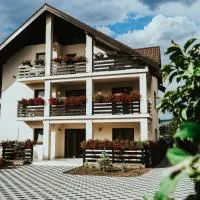 Pensiunea Romana, hotel v destinácii Onești