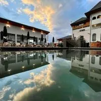 Pensiunea Maramures Guesthouse, hotel u gradu 'Vişeu de Jos'