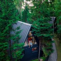 Умные дома ЁLKI A-Frame "Новожилово"
