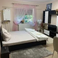 Studio Gaby, hotel u gradu Satu Mare