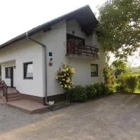 Apartments Smirnov, Hotel in Drežnik Grad