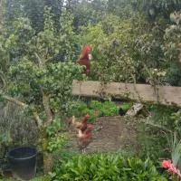 bienvenue chez Joëlle et André au 207, hotelli kohteessa Balazé