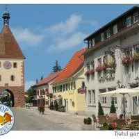 TIPTOP Hotel Garni Pfauen, hotel di Endingen