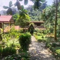 Mountain View Cottages & Villa Tangkahan, hotel din Tangkahan