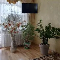 Апартаменти в центрі міста, отель в Каменец-Подольском