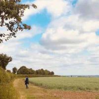 The Coach House, hotel in Hook