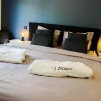 ‘t Ziltebos, hotel di Wenduine