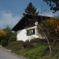 Ferienhaus Waldschrat - Komplettpreis, Hotel in Zandt