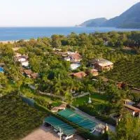Cirali Hera Hotel & Spa, hotel din Cıralı
