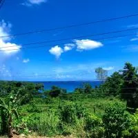 TOGA GUEST HOUSE, hotel in Port Antonio