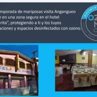 Hotel La Margarita, hotelli kohteessa Mineral de Angangueo