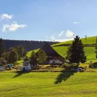 Zum Wilden Michel, hotel en Oberlinach