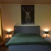 Gîte du cheval blanc d'Houmont, khách sạn ở Sainte-Ode