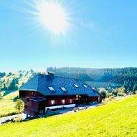 RotmeerHaus, hotel in Feldberg