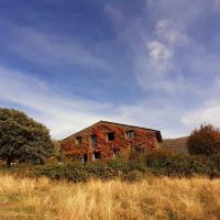 EL CUENTO DE LA ENCINA. Un espacio para sentir
