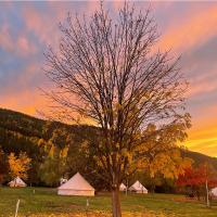 a tree in the middle of a field with tents at Utopia Feels Botanical Glampground and Micro-Farm, Coldstream