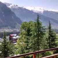 Guruchhaya hotel and cottages, hotel din New Manali, Manali