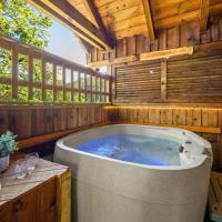 Do Not Disturb - Pigeon Forge Smoky Mountain Studio Cabin, Hot Tub, Fireplace