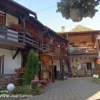 Pensiunea Liana, hotell i Nemşa