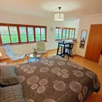 Lumineux Appartement Free Parking Nature Ville tt équipé, hotel em Thann