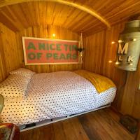 Shepherds hut in your own quiet and secluded field, hotel in Rye