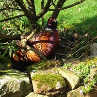 No 4, The Perfect Escape to the Country, hotel in Hawkhurst