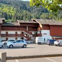 Bernex studio au calme parking privé، فندق في بيرنيكس