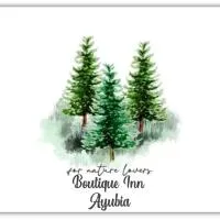 Boutiqueinn Ayubia, hotel a Ayubia