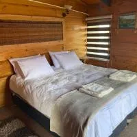 Viesnīca Hostal Caulle pilsētā Río Bueno
