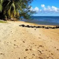 SUNSETVIEW, studio, private beach, amazing swim & sunset, hotel i Haapiti