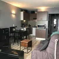Appartement 4 personnes au pied des pistes, Hotel in La Pierre Saint Martin