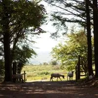 Wheal Tor Hotel & Glamping, hotel a Liskeard