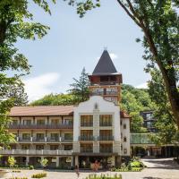 Verkhovyna Resort Medical & Wellness, отель в городе Каменица