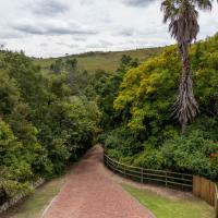 bWhale guest house, hotel in Hunter's Home, Knysna