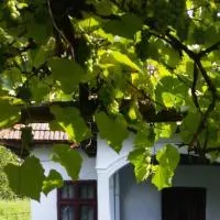 Pridvorul lui Viorel, hotel en Proviţa de Sus