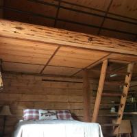 Wild and Free Cabin @ Leisure Lake, hotel in Soldotna