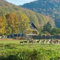 Pension Margarete, hotell sihtkohas Handthal