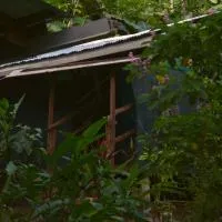 Corcovado Guide House, Hotel in Barrigones