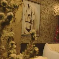 Хотелски комплекс Белият кон, hotel a Targovishte