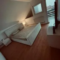 Casa Verde, hotel din Foeni